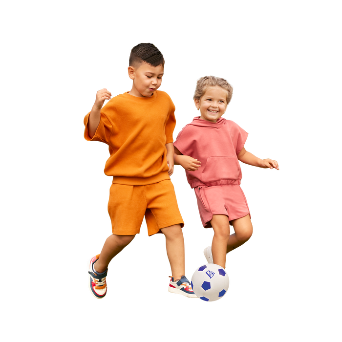 B. toys – B. sports Soccer Goal