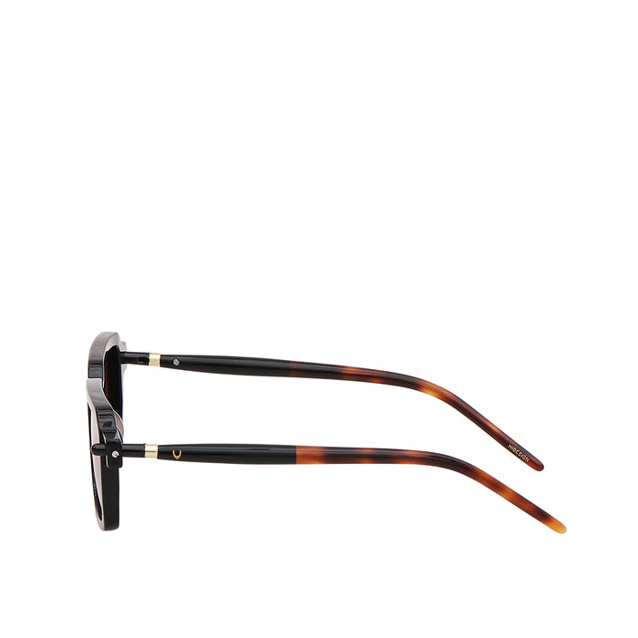 Barbados Men's Brown Wayfarer Sunglasses