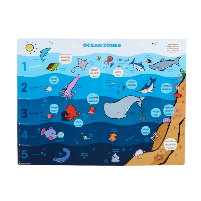 Battat - Ocean Learning Colour Changing Book Set