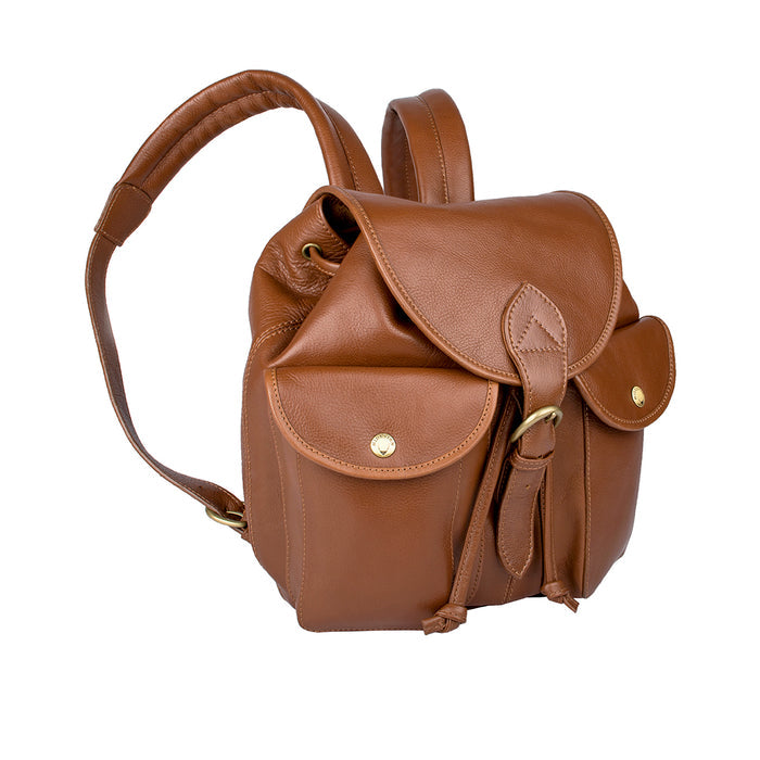 Big San Francisc Tan Leather  Backpack