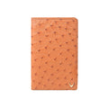 CASPIAN (RF) PASSPORT HOLDER