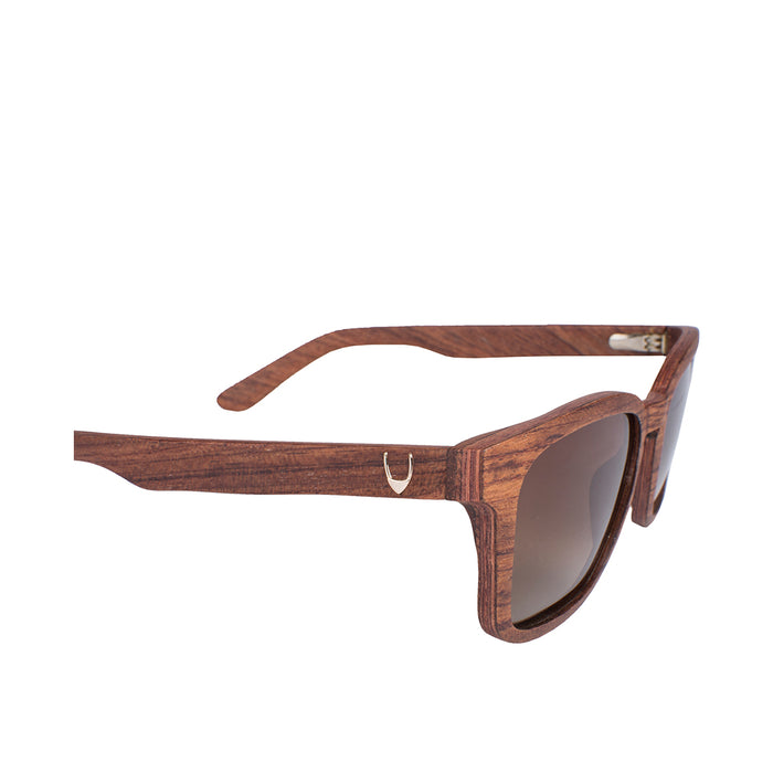 Congo-Wb319R Unisex Brown Wayfarer Sunglasses