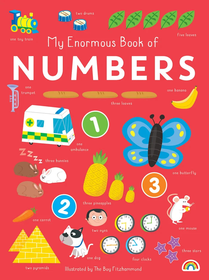 Enormous Book Of Numbers Book