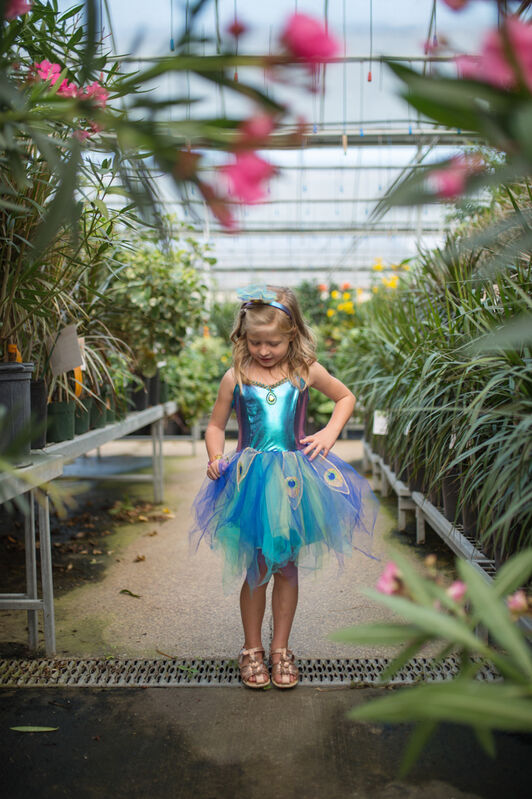 Great Pretenders - Pretty Peacock Dress & Headband - Size 5-6