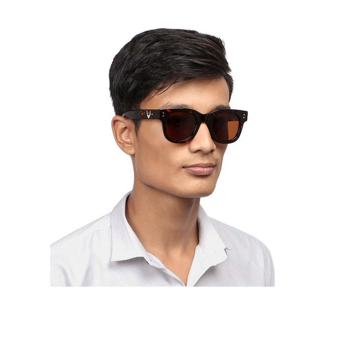 Long Beach Unisex Brown Wayfarer Sunglasses