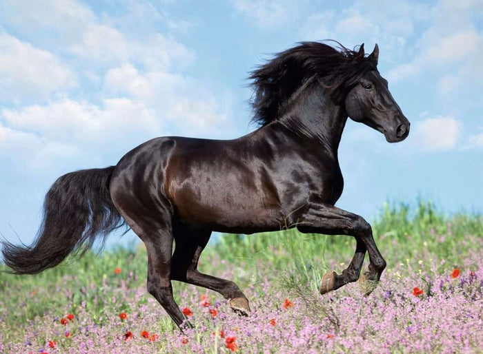 Ravensburger - Puzzle 200pc Majestic Horses