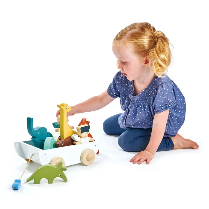 Tender Leaf Toys - The Friend Ship Boat