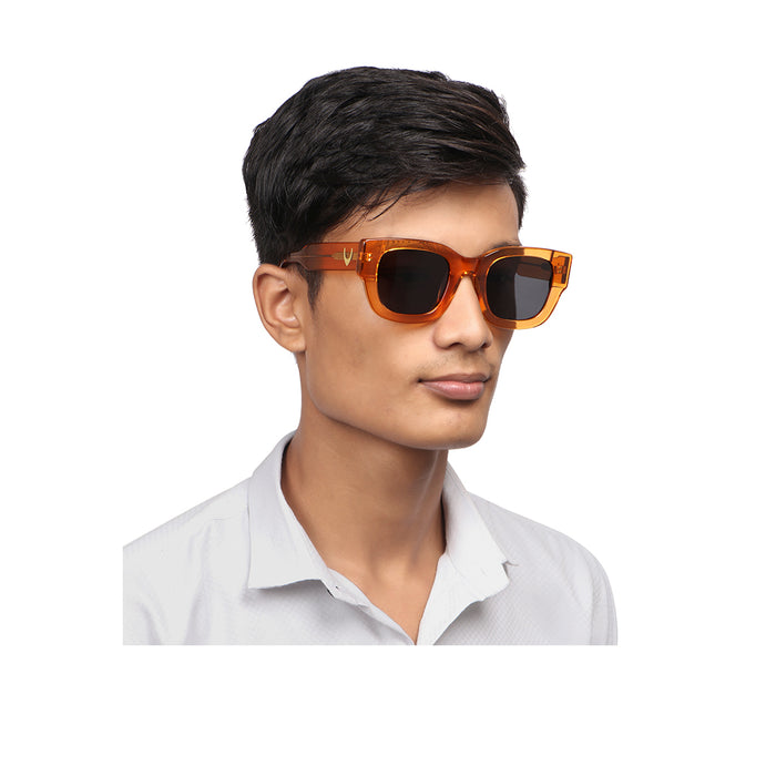 Ventura Unisex Tan Wayfarer Sunglasses