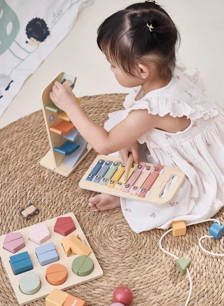 VIGA - Grow with me Box - Color Crafters