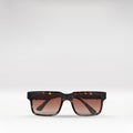 Zulu Men's Brown Wayfarer Sunglasses